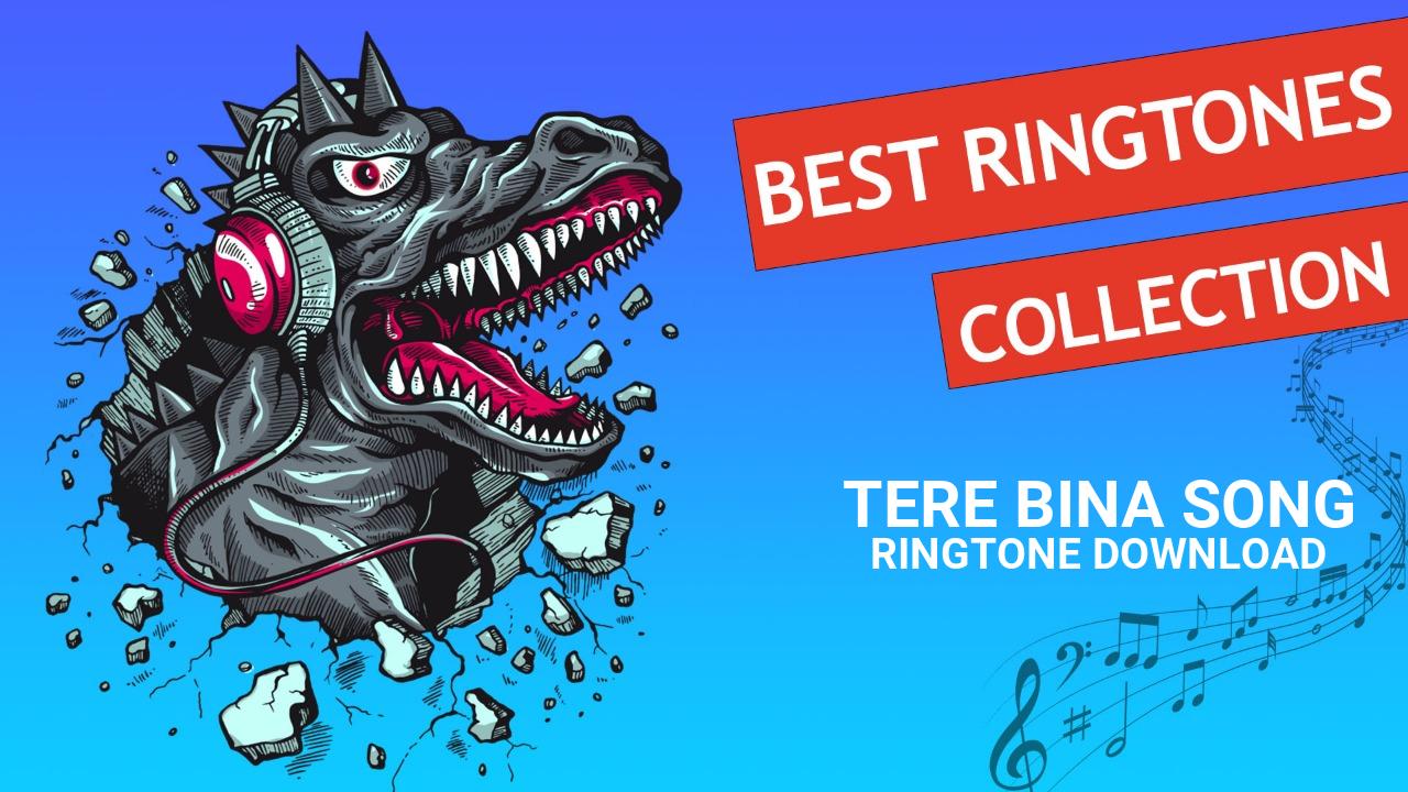 Tere Bina Song Ringtone Download