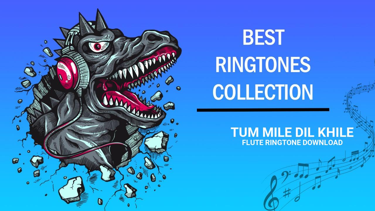 Tum Mile Dil Khile Flute Ringtone Download